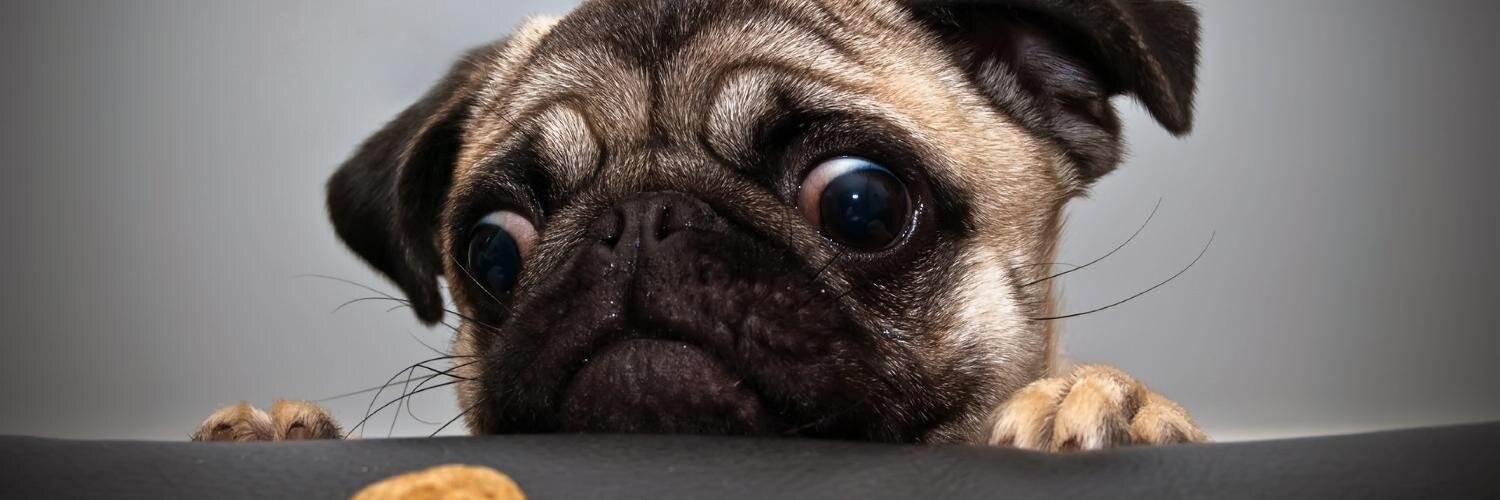 LordHogFred's profile banner image