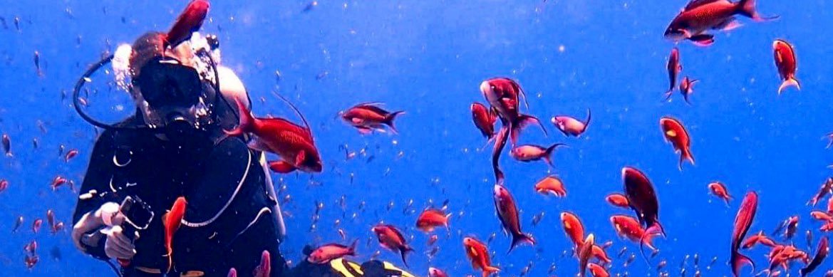 Peter Knowles banner