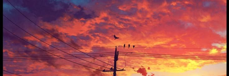 ali_kuru77's profile banner image