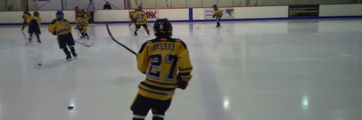 GoaliesRule33's profile banner image