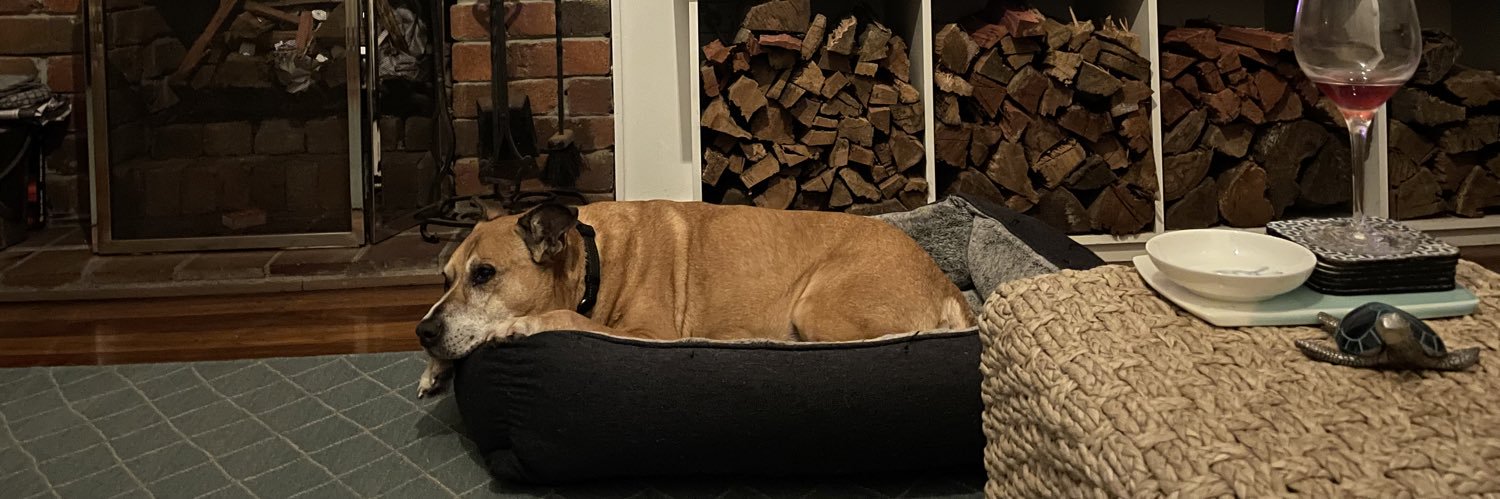 MikeyMikeD's profile banner image
