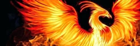 murat_tatli68's profile banner image