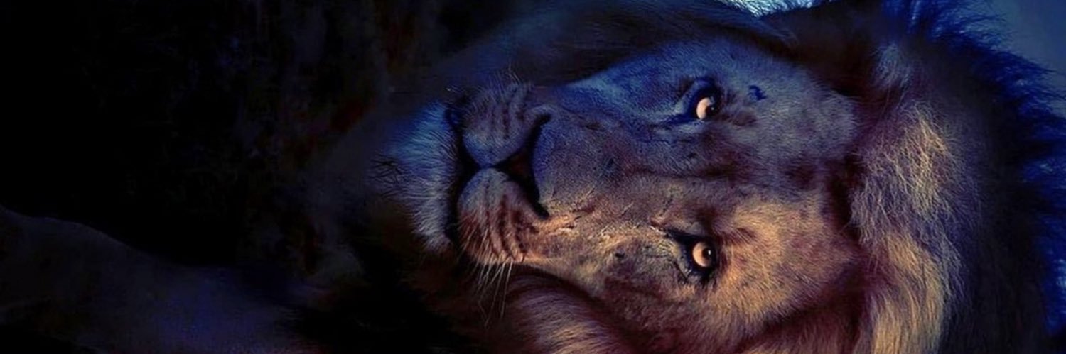 jokeyman69's profile banner image