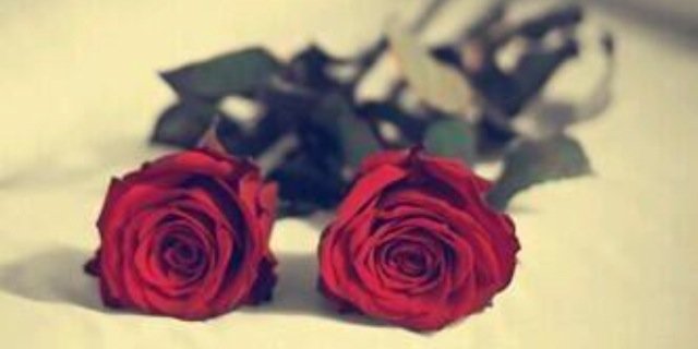 MahaNsm's profile banner image