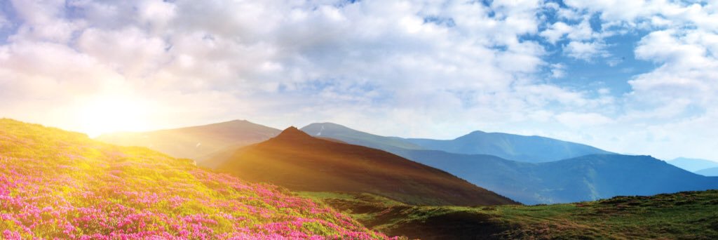 SofiaChich's profile banner image