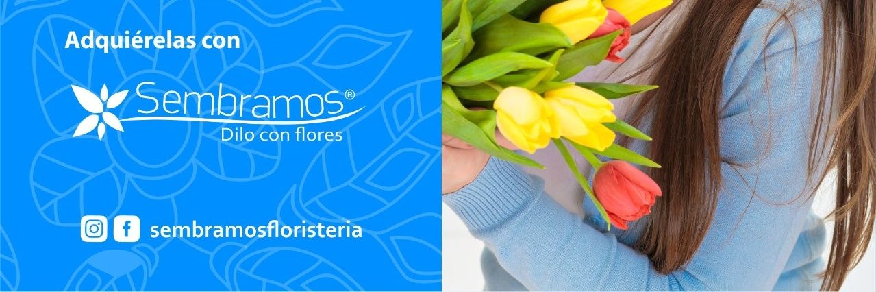 Sembramos's profile banner image