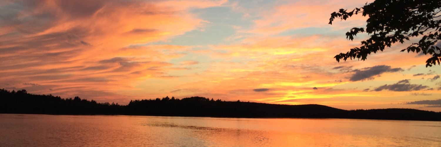 SMcManusP's profile banner image