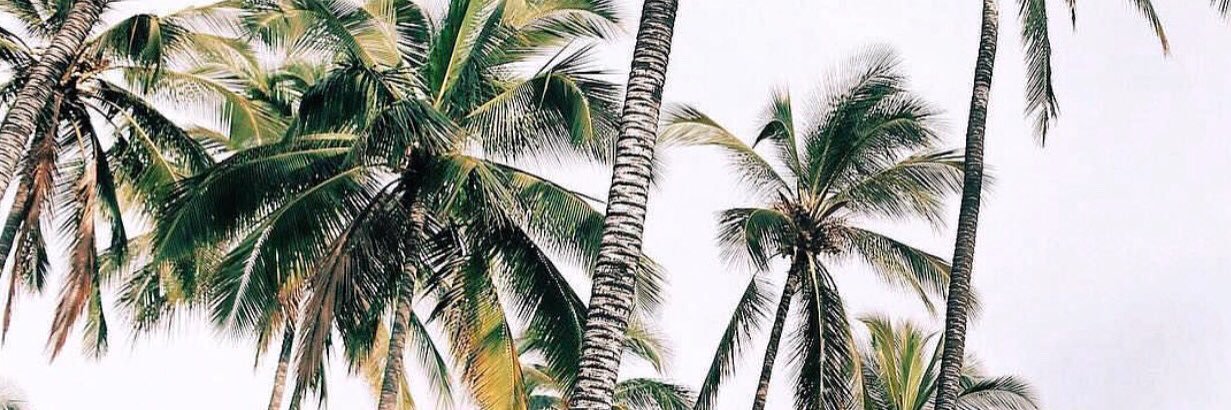 k_shaaaaa's profile banner image