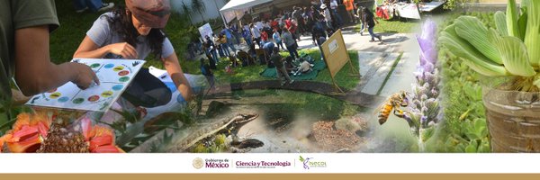 Inecol_mx Profile Banner