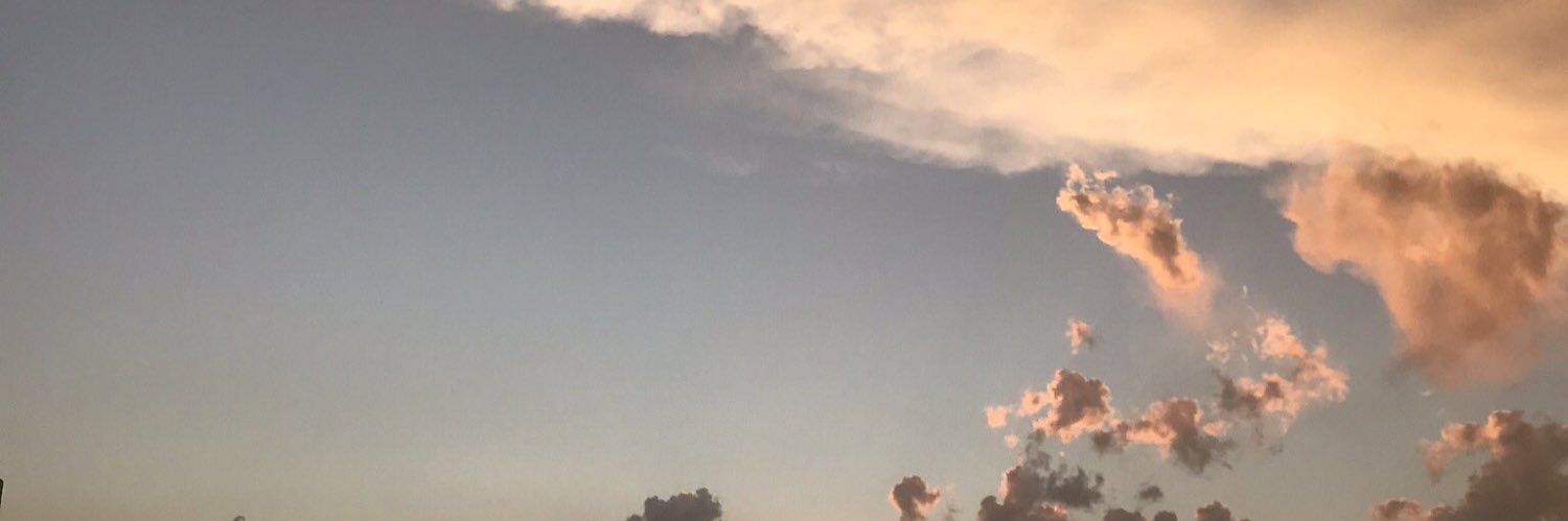 v__l0's profile banner image