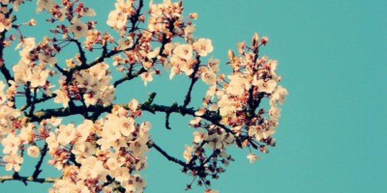n_mj's profile banner image