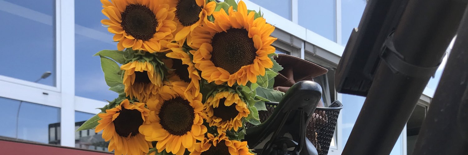 Céline Argento banner