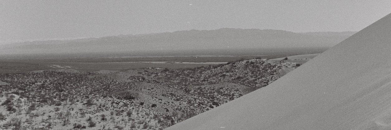 SadSadZoo's profile banner image