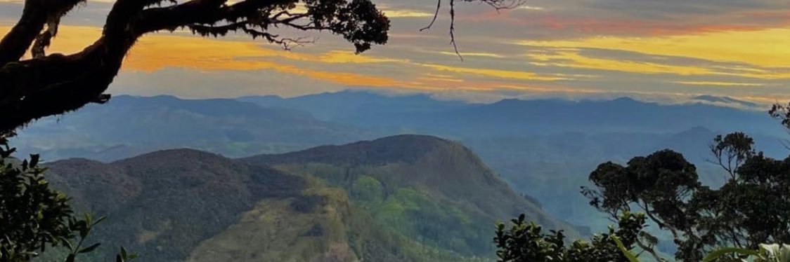 AmeliaTonya's profile banner image