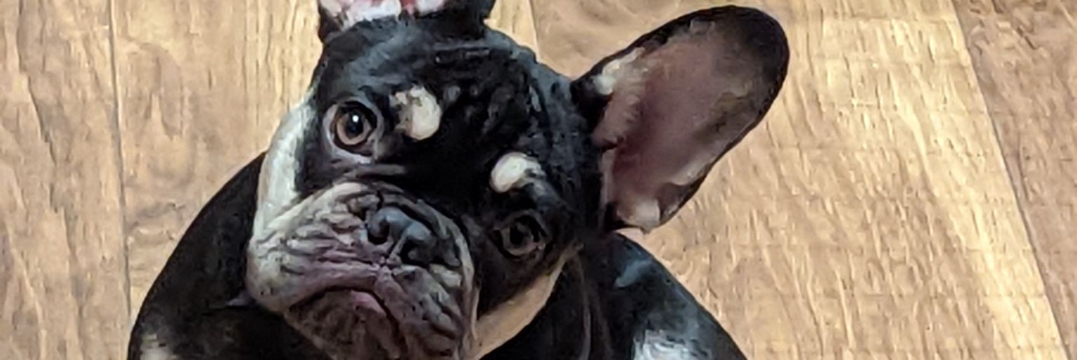 ConnorWilson_7's profile banner image