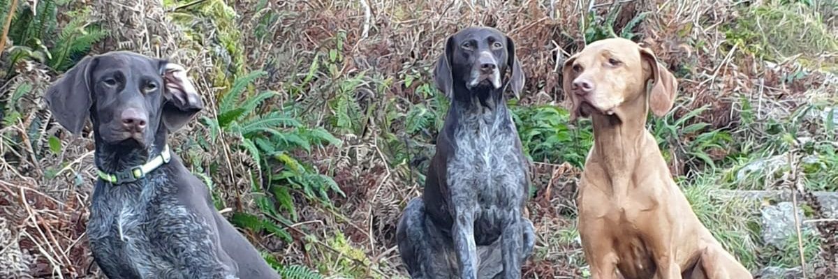 Alison McKean banner