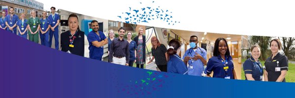SomersetFT Profile Banner