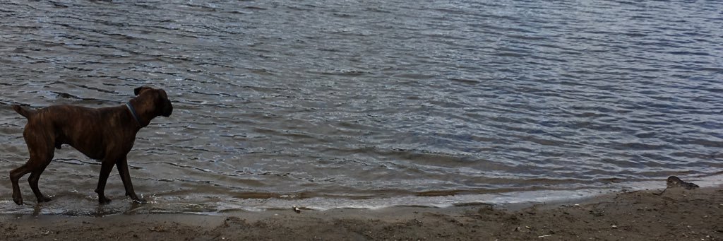 SierraBuckland's profile banner image