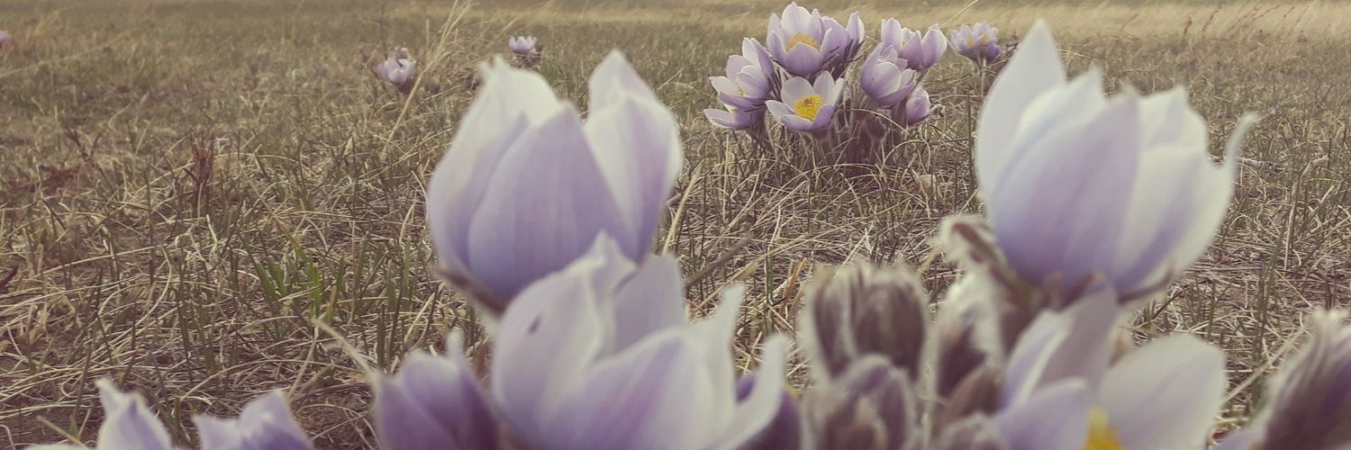 CharSmith_'s profile banner image