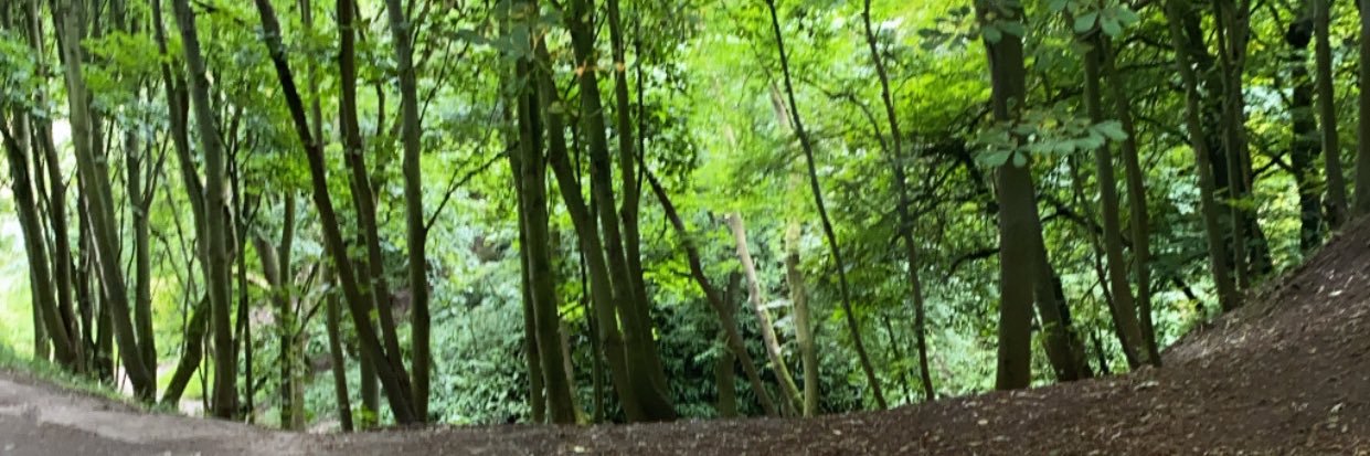 anonraw95's profile banner image
