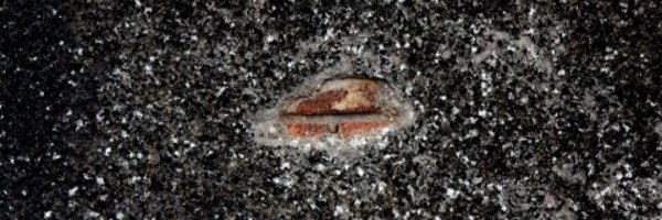 Steph1230 Profile Banner