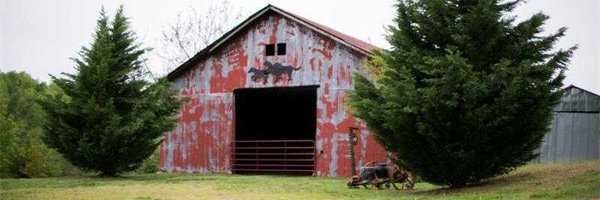 slcurt Profile Banner