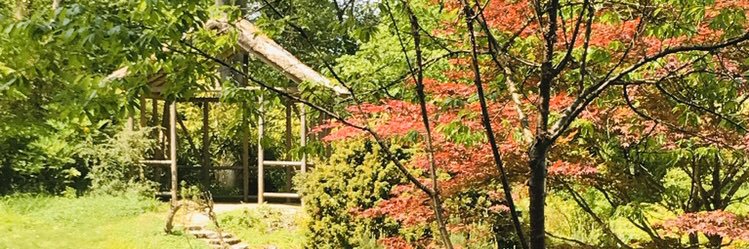 Kate Somerville banner