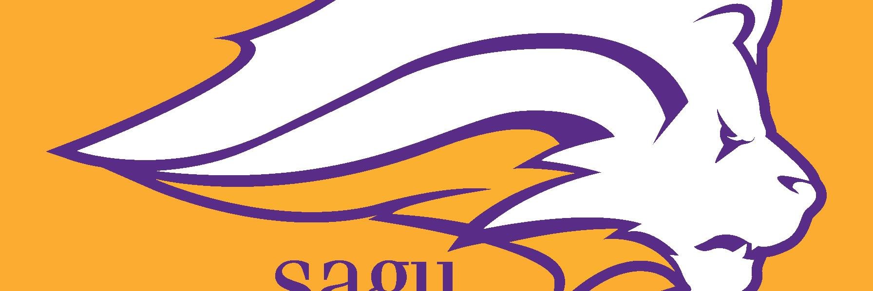 SAGUcompliments's profile banner image