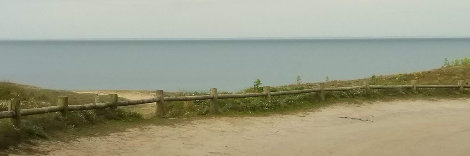 NSedou's profile banner image