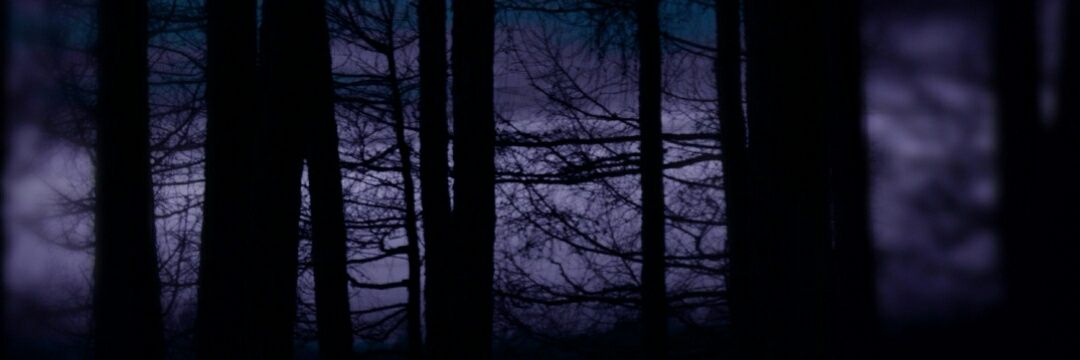 JCfollower79's profile banner image