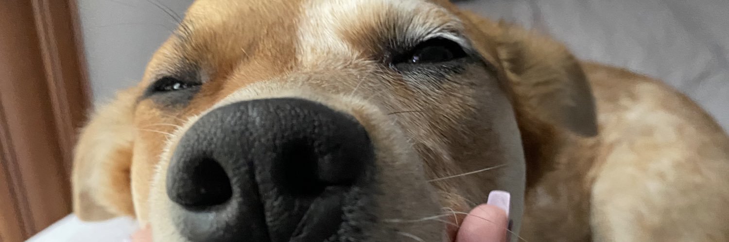 jaaacquelynnn's profile banner image
