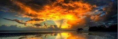 Marcos Vinicius banner