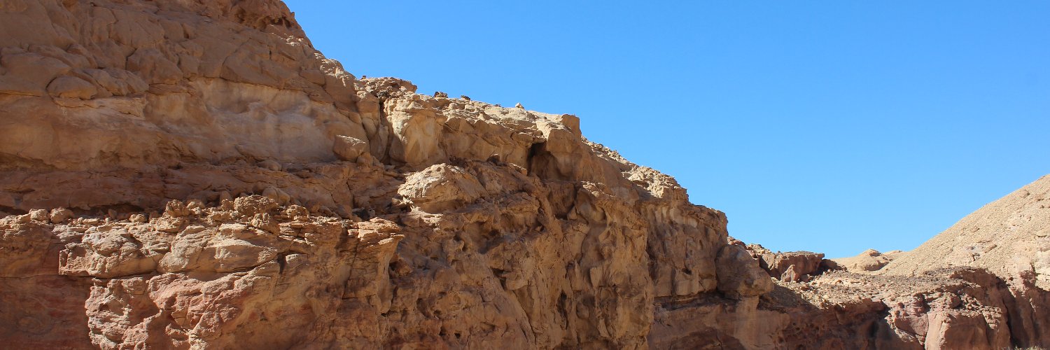 Pachamamerto's profile banner image