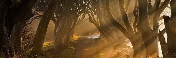 ChilaxinW's profile banner image