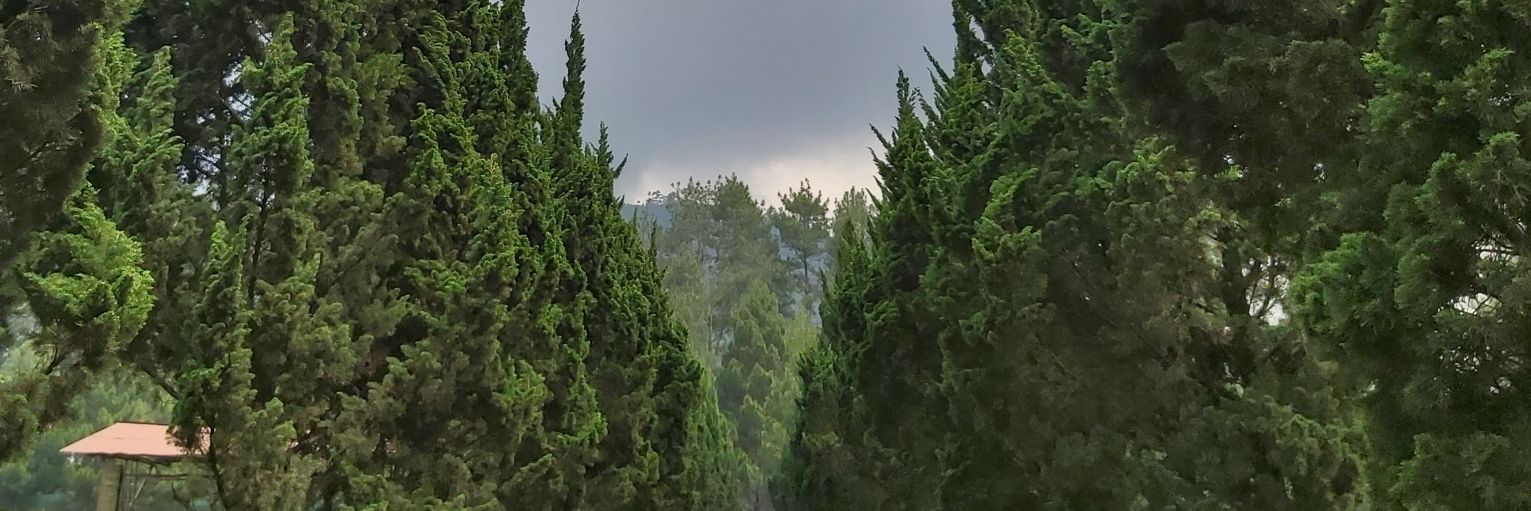 roriruivaldy's profile banner image