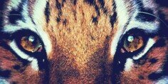 kimmm2696's profile banner image