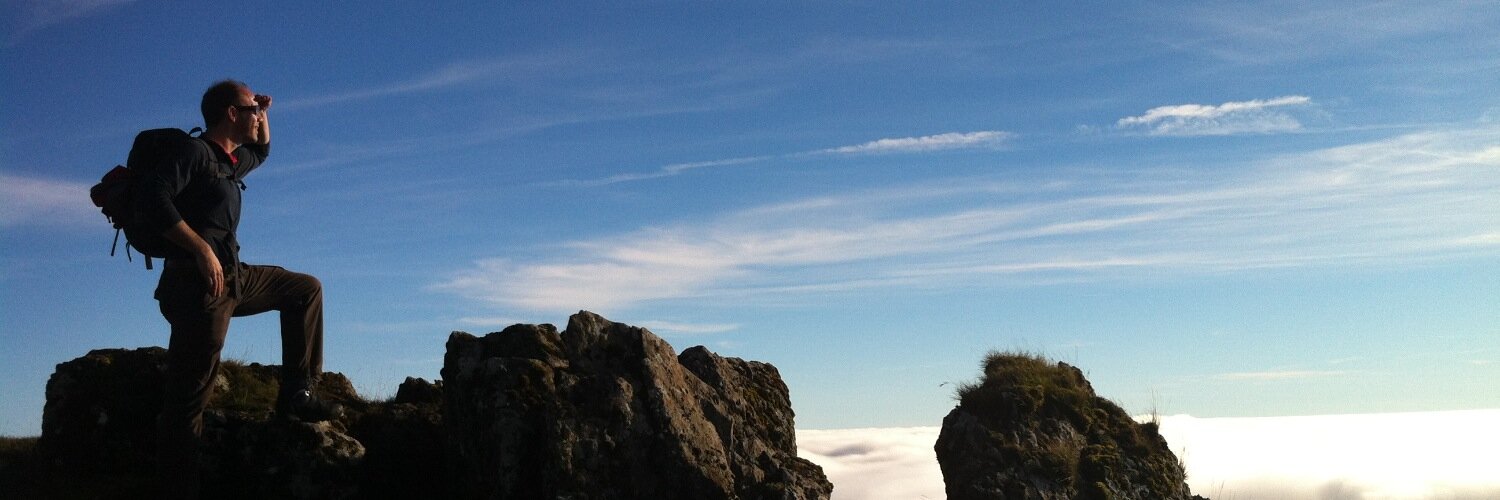 The Iron Baritone banner