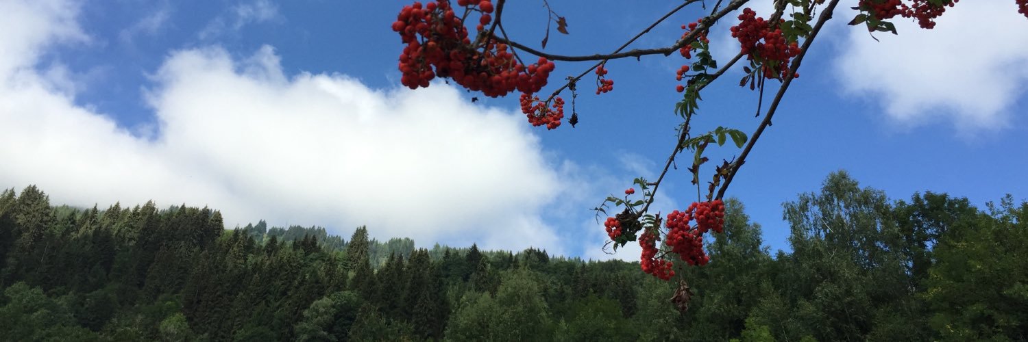 Mazhariyah_'s profile banner image