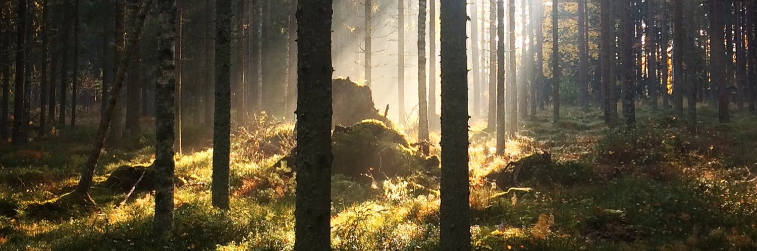 jmfiea's profile banner image