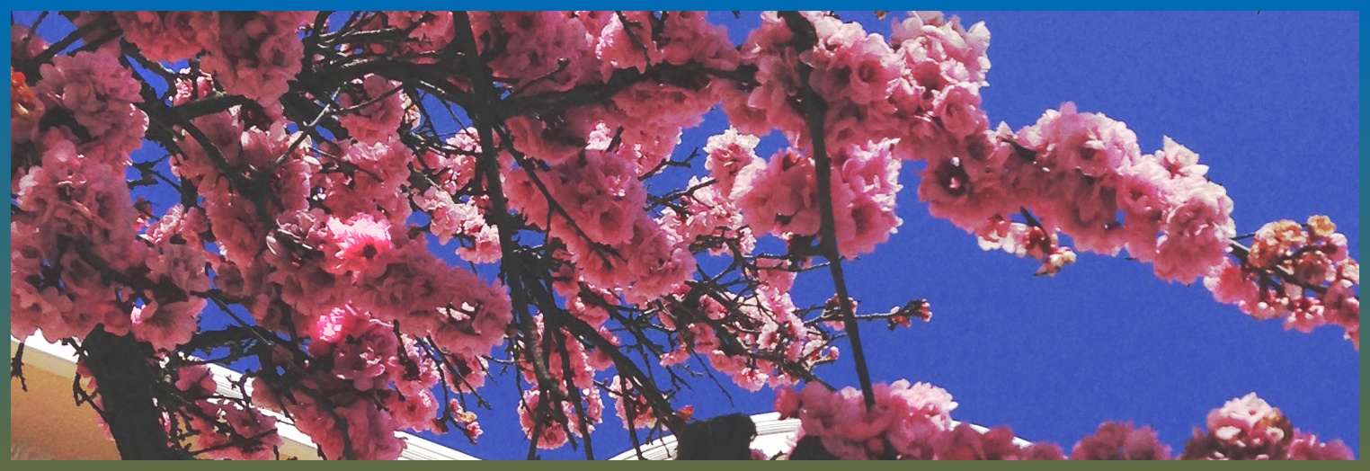katsawdat's profile banner image