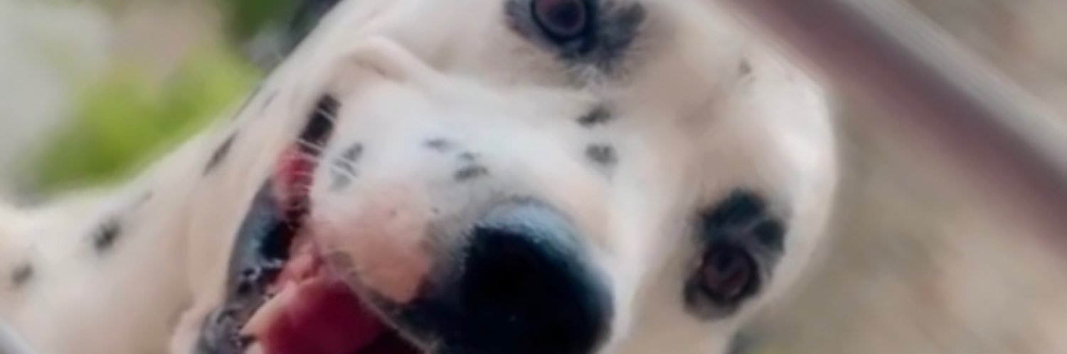 a_leemos's profile banner image