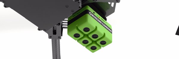 BuzzardCam Profile Banner