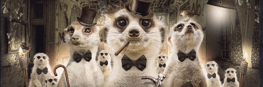 Alex_brno's profile banner image