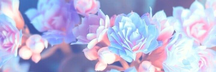 ChloSwanepoel's profile banner image
