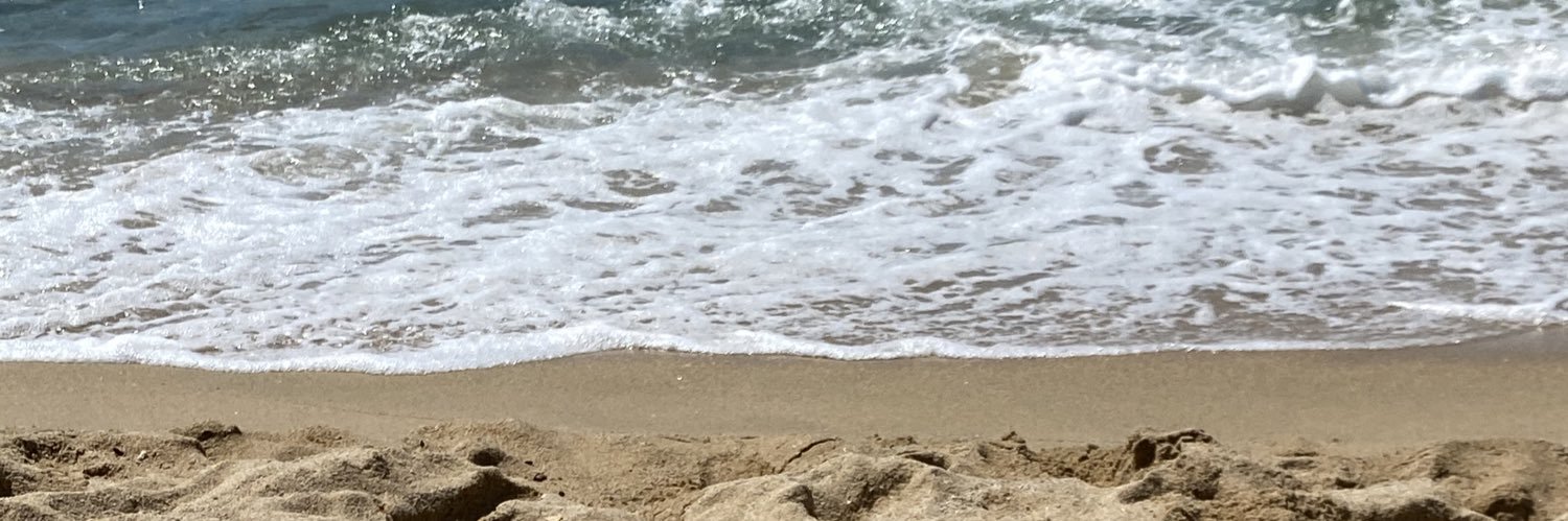 Sílvia Blanch banner