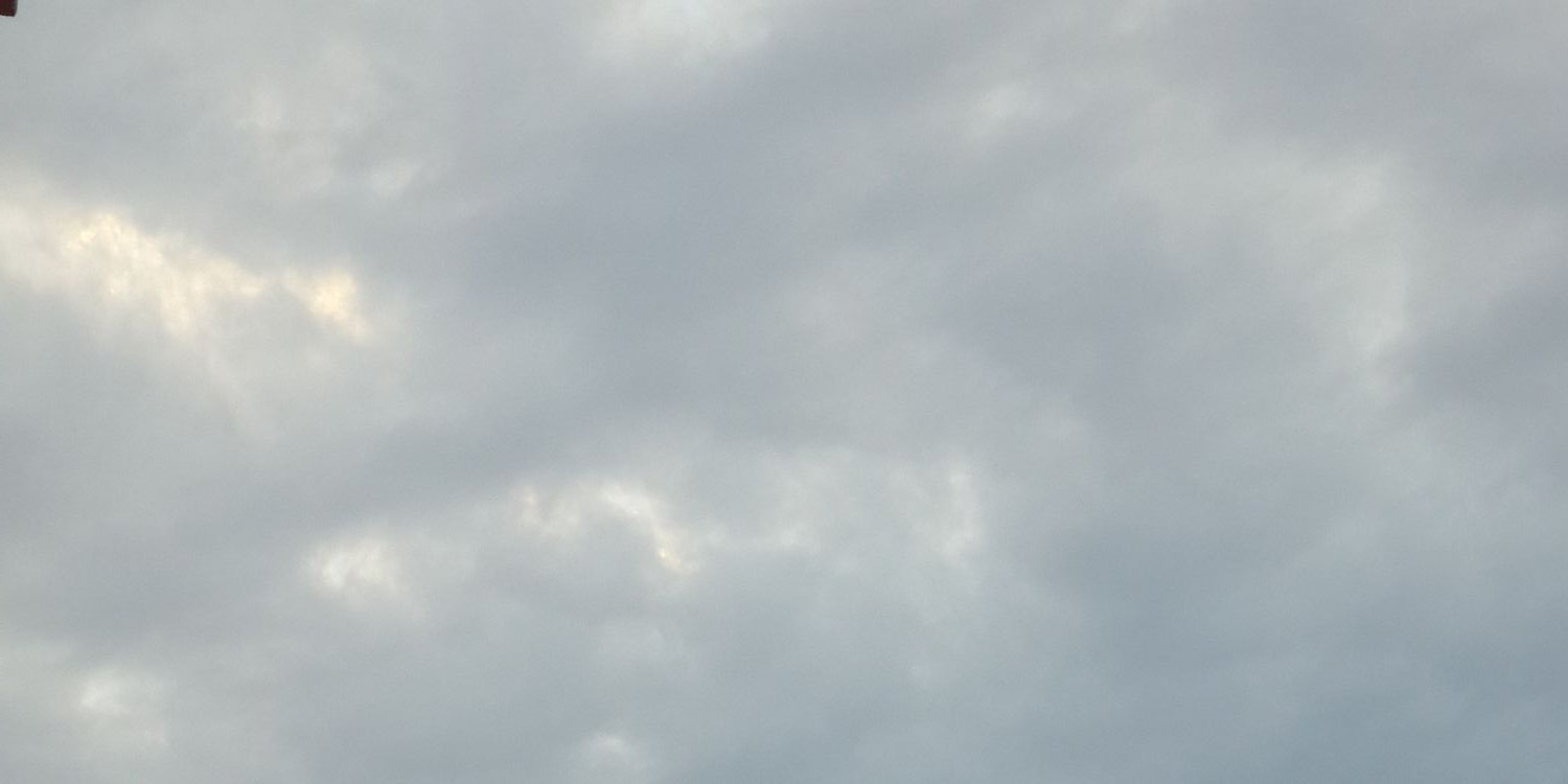 shamoods's profile banner image