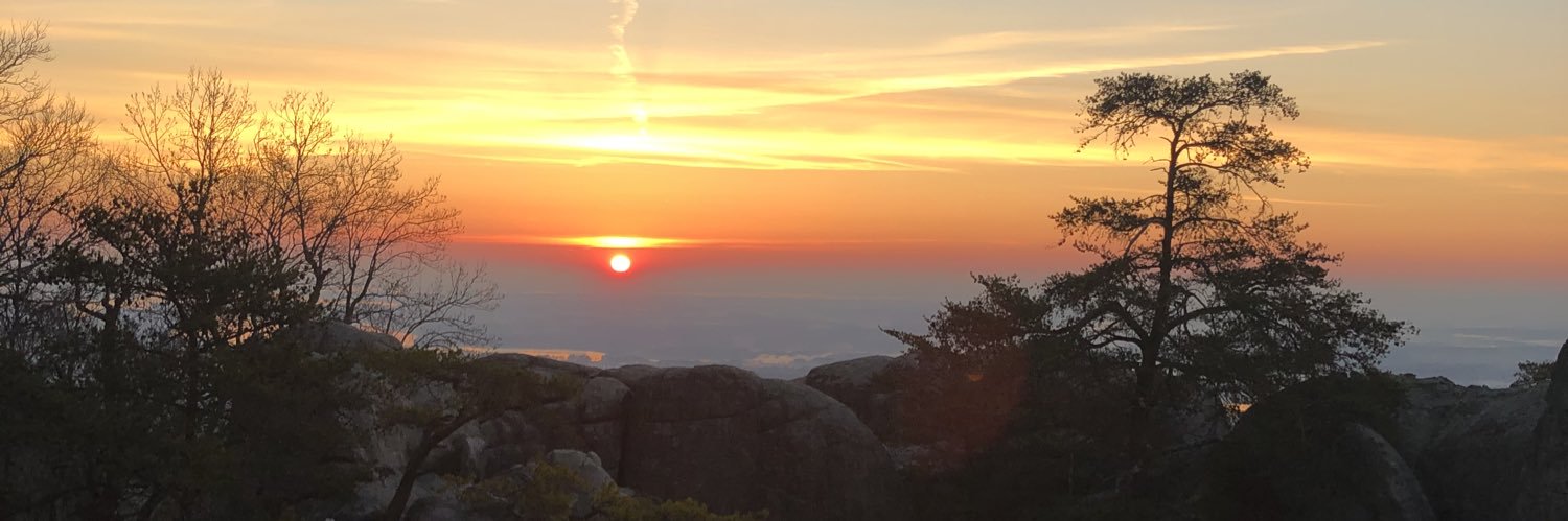 _cole_everett_'s profile banner image