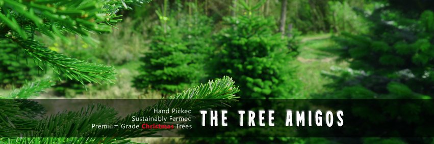 TheTreeAmigos's profile banner image