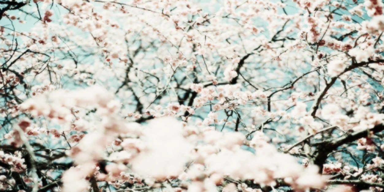 wcterfcll's profile banner image
