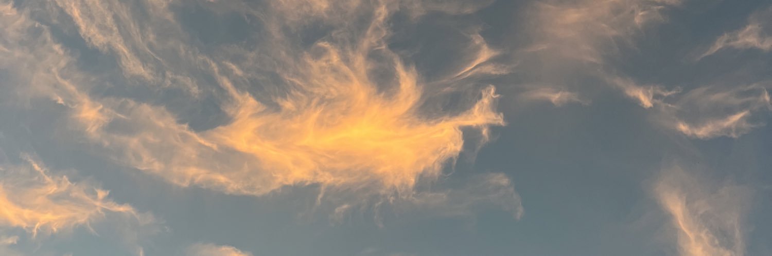 griffentorp's profile banner image